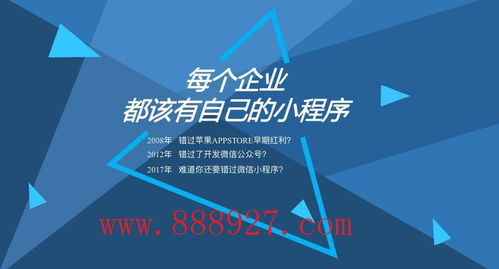 深圳市布吉小程序系统开发科技公司